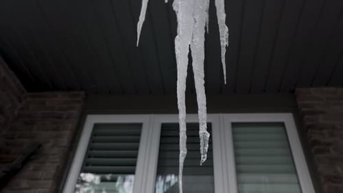 Frozen Eavestrough with Large Melting Icicles. Winter. Window in Background