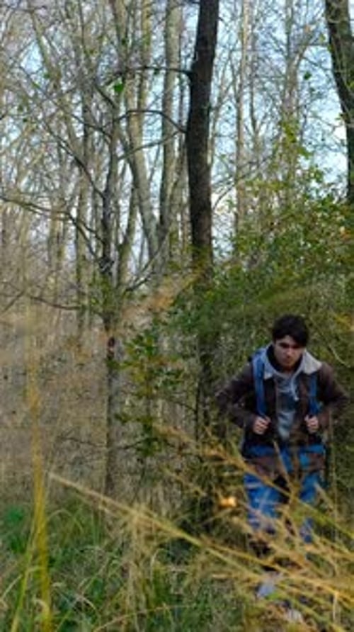 Young Adult Hiking in the Forest