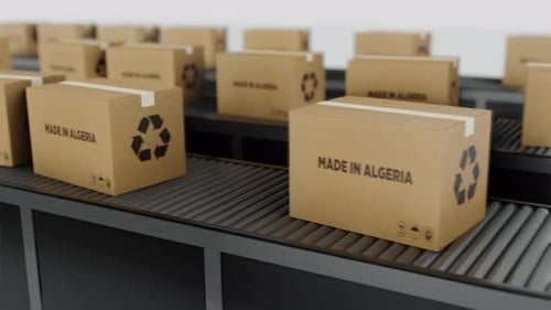 Ein Strom von Kartons mit der Aufschrift „Made In The Algeria“ bewegt sich auf einer Förderlinie
