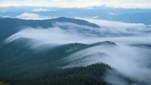 Majestic Carpathian Mountains. Beautiful landscape of untouched nature
