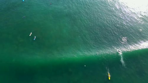Surfers in Bali - Indonesia.