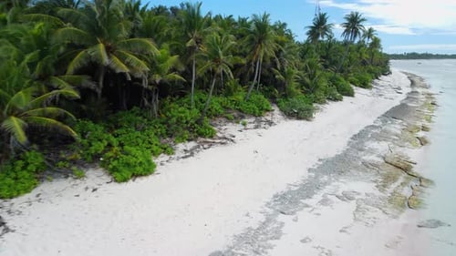 Tropical Sandy Beach with Coconut Palm Trees and Ocean Drone View of Fuvahmulah Island