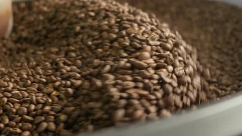 Close Up Roasted Coffee Beans Mixing in Mixer Roaster Blend Automatic Metal Drum Machine Stirring