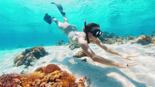Freediver in bikini. Sexy woman freediver swims underwater in the tropical sea over the coral reef.