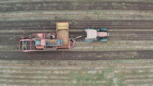 Tractor Harvesting Crops in a Rural Field