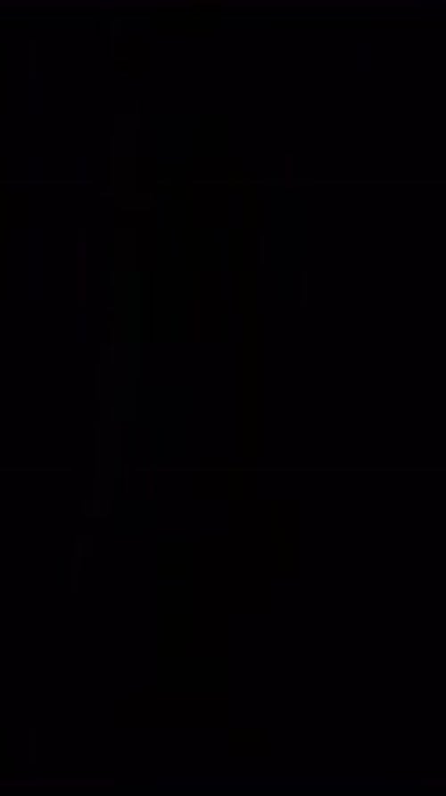 Vertical Film Burn Retro Vintage Overlay and Dust Brush Effect