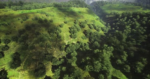 Lush Green Hills with Dense Forest Cover Under a Clear Sky During Daytime