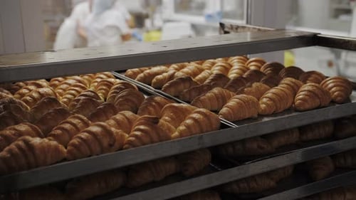 Fresh Golden Croissants On Metal Racks In Bakery