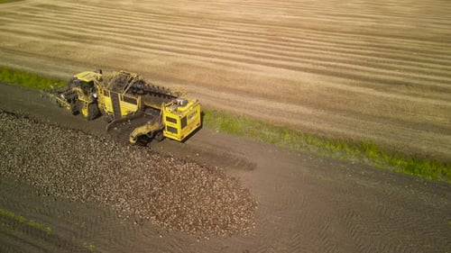 Combine harvesting sugar beet aerial view