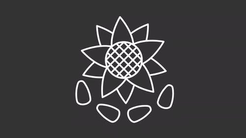 Animated sunflower with seeds white line icon