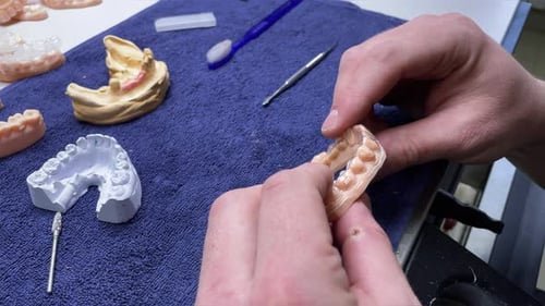 Dental Technician Examining False Teeth in Workplace