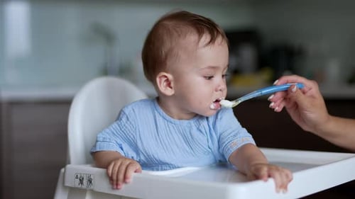 Infant Feeding in a High Chair Indoors