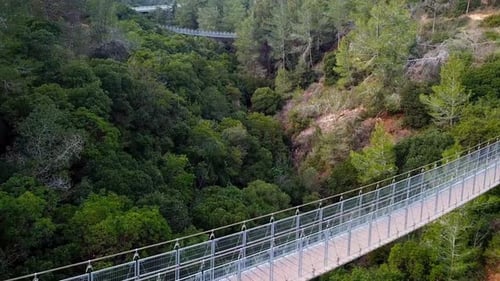 Hängebrücke umgeben von üppig grünem Wald, Luftaufnahme