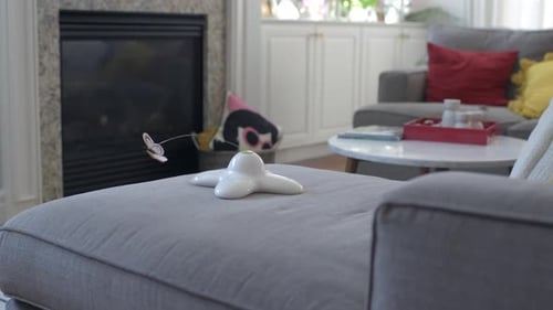 Playful Kitten Interacts with Toy in Cozy Home