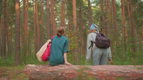 Hikers Sharing Joyful Moment on Fallen Tree in Peaceful Forest