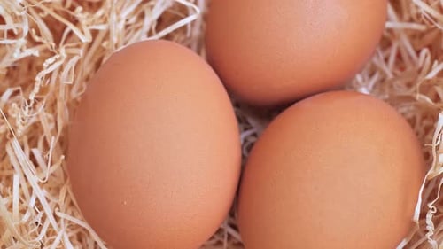 Primer plano de tres huevos girando sobre el heno