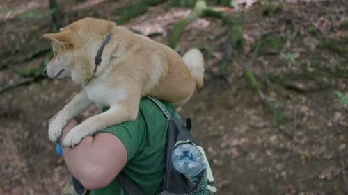 Dog Rides on Man's Shoulders in Forest