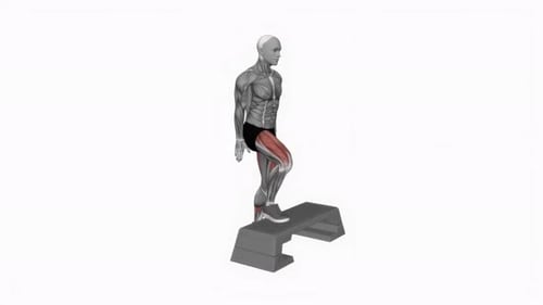 3D Anatomical Man Performing Step-Up Exercise Animation