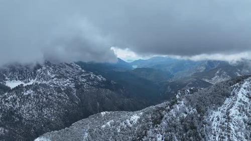 Atemberaubende Ausblicke auf magische verschneite Tannen auf einem mit Neuschnee bedeckten Berg