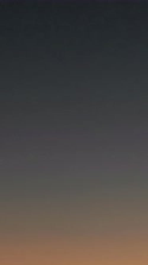 Airplane Flies in Twilight Sky