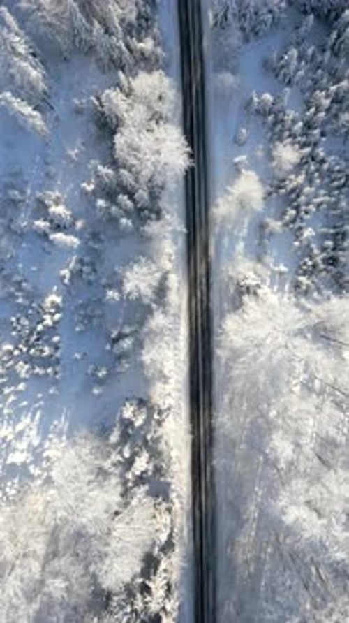 Scenic Road Through a Snowy Winter Mountain Forest