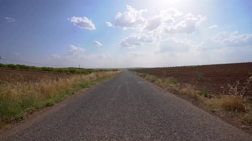 Asphalt road between fields in sunny weather 4K