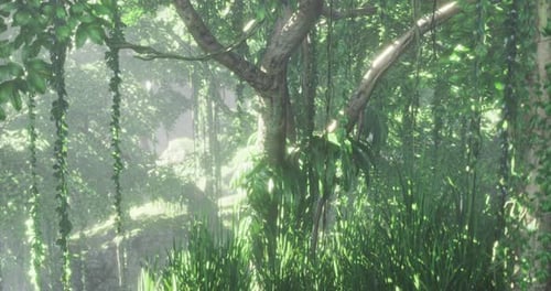 Lush Green Jungle with Sunlight Filtering Through Dense Foliage in Morning