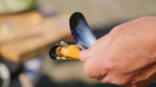 Open Mussel Shell With Greenery