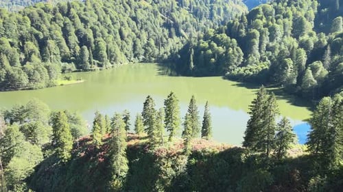 aerial view of natural lake among forest
