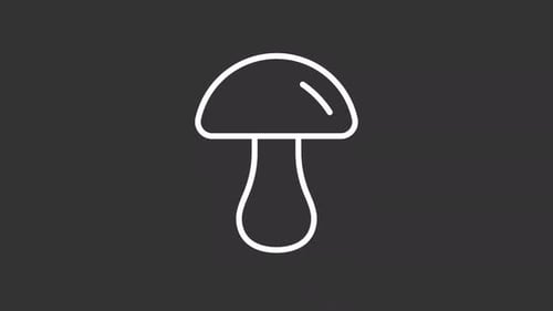 Animated Minimalist Line Art Mushroom Icon