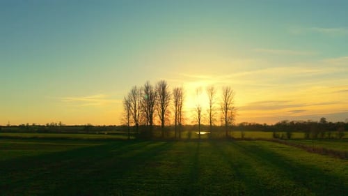 Farmland Sunset Landscape Over Green Agricultural Field Warm Golden Evening Sky Spreading Light Row