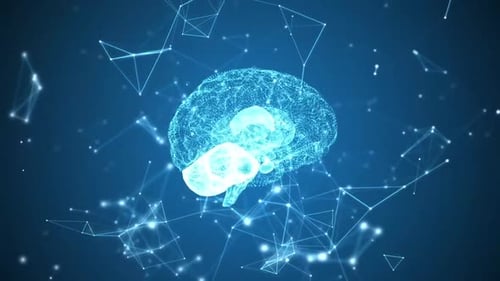 Digital Brain with Plexus Connection and Neural Network