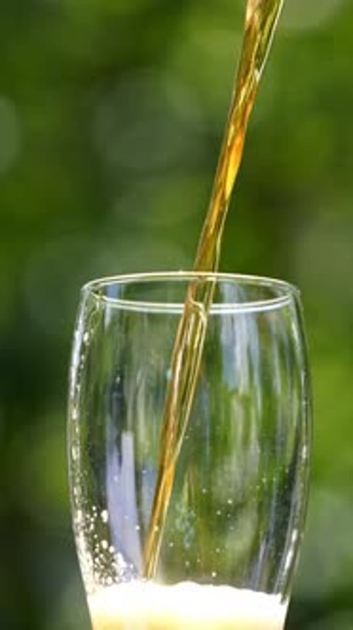 Pouring fresh beer with foam running down. Stream of beer pours into a beer glass