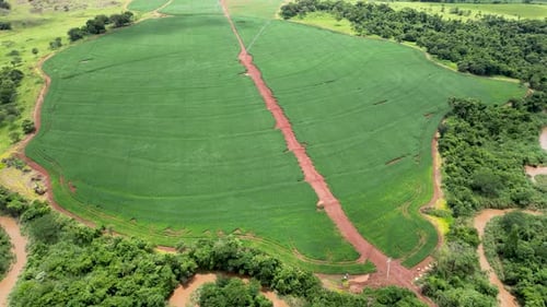 Agriculture Field at Rural Landscape in Countryside Landscape.