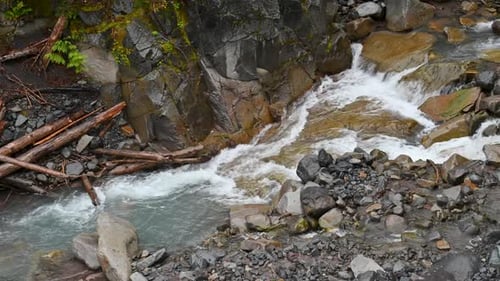 Aerial drone clip of fast-moving stream rushing over rocks in dense mountain wilderness.