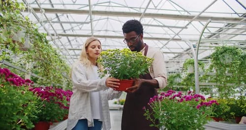 Woman and Man Holding Together Big Pot with Live Plant Inspecting Yellow Flowers Growing From