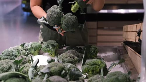 Young Woman Choosing Fresh Broccoli at Grocery