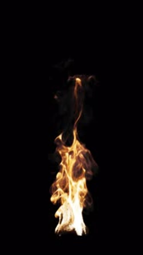Animation of fire burning. File contains Alpha Channel.