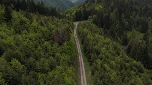 Aerial Drone Flight Above Forest Road Winding Through Carpathian Mountains in Spring