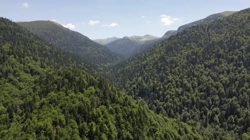 Beautiful mountains covered with dense green forest. Aerial view. Mountain landscape.