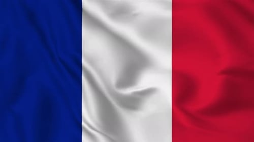 Realistic Waving French Flag Seamless Loop