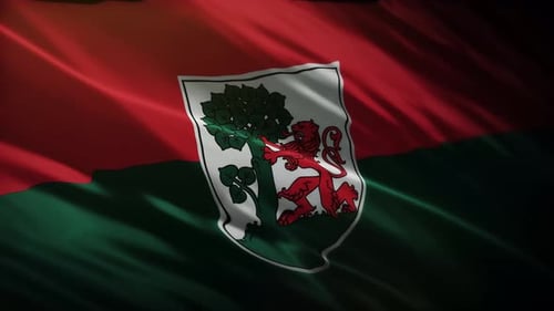 Realistic Waving Flag with Emblem and Coat of Arms