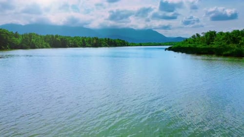 Peaceful Aerial View of a Tropical River