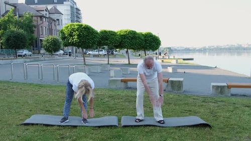 Active Seniors Exercising Together Outdoors on Exercise Mats