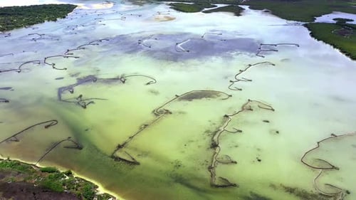 Natur, Landschaft und Luftbild von Seen, Sumpfgebieten oder Feuchtgebieten für Umwelt, Ökologie und Ökosystem