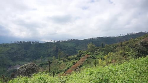 beautiful mountain natural scenery natural panorama of hills, with forest of tall green trees