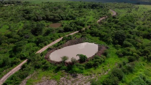 Drohnen-Luftaufnahme eines kleinen Teichs neben einer unbefestigten Straße in üppiger Landschaft, umgeben von dichtem Grün