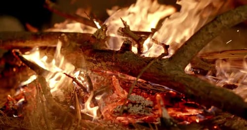 The Coals of a Campfire in the Forest Closeup