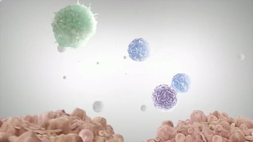 3D Scientific Visualization of Macrophage and Immune Cell Interaction