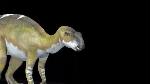 Animated Iguanodon Dinosaur Walking Cycle 3D